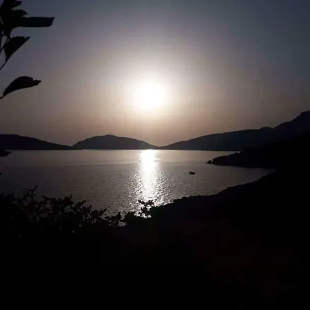 Sylvia's Διαμέρισμα *