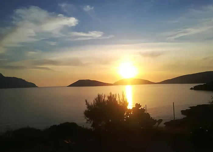 Sylvia's Daire Skaliá