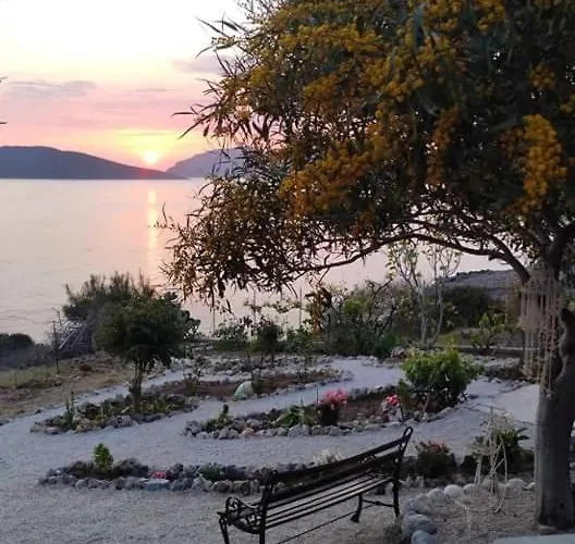 Sylvia's Daire Skaliá